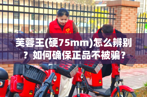 芙蓉王(硬75mm)怎么辨别？如何确保正品不被骗？